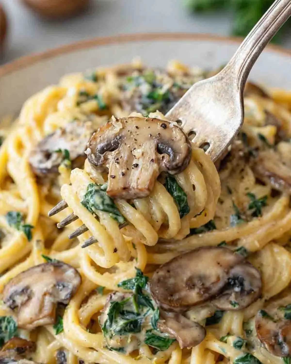 Creamy Garlic Mushroom Pasta 4 Fork twirling creamy garlic mushroom pasta with fettuccine, sautéed mushrooms, and Parmesan cream sauce with herbs